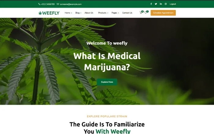 Weefly – Medical Cannabis & Marijuana WP Theme 1.9.6