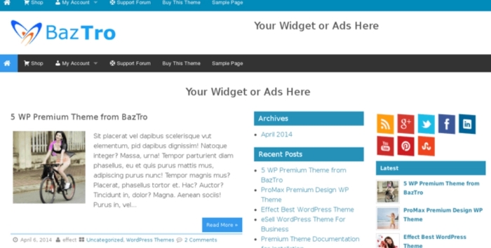 Wrock Metro Pro WordPress Theme insertcart 3.9