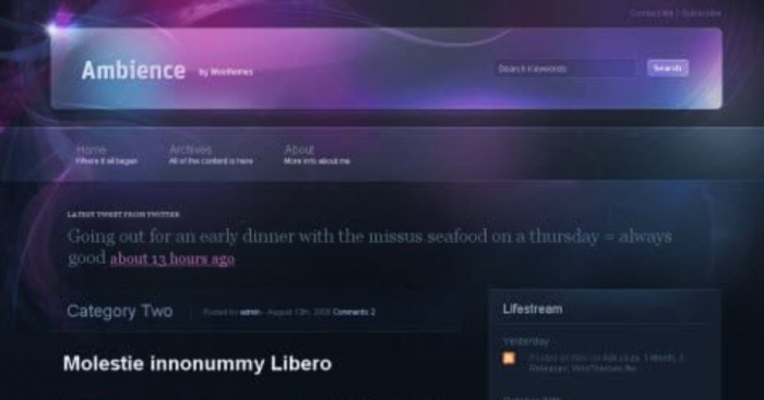 WooThemes Ambience Premium Theme 2.6.0