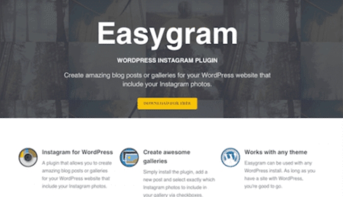 Digitalis – WordPress Theme 1.2.0