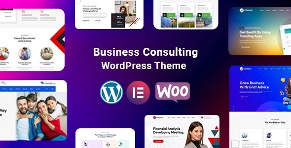 Consua – Business Consulting WordPress 1.0