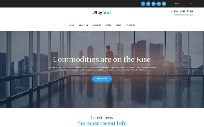 Hayford – Investment Consulting Services Responsive WP Theme 1.2.3
