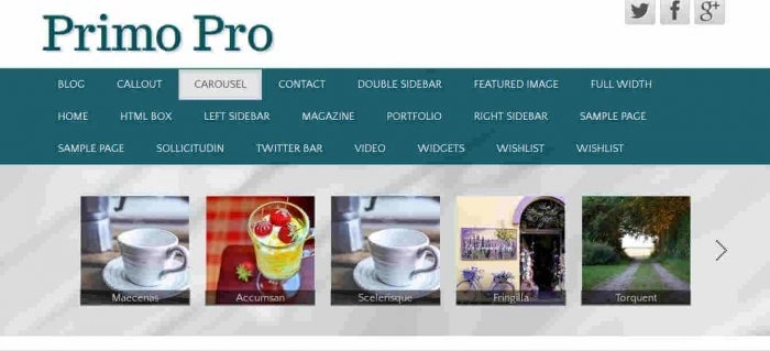 CyberChimps Primo Pro WordPress Theme 1.5