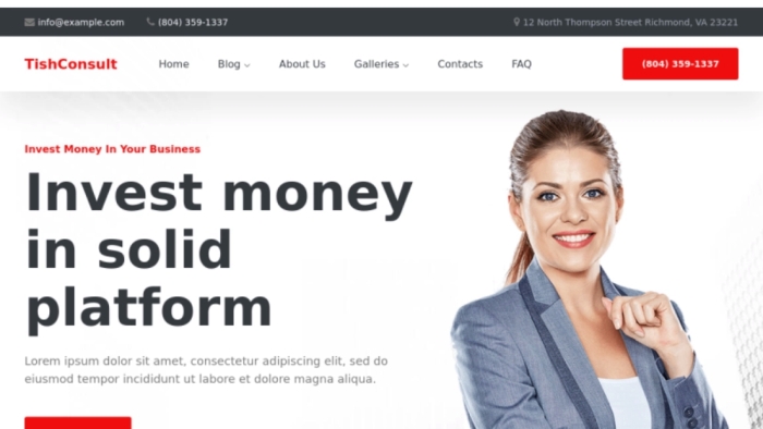 TishConsult – Business and Consulting WP Theme 1.0.0