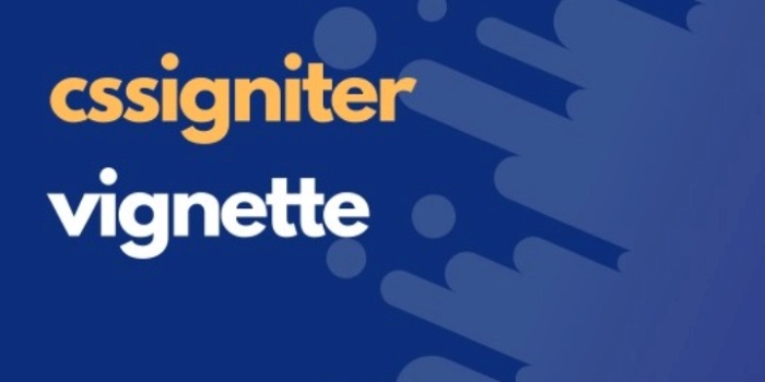 CSSIgniter Vignette WordPress Themes 1.9.3