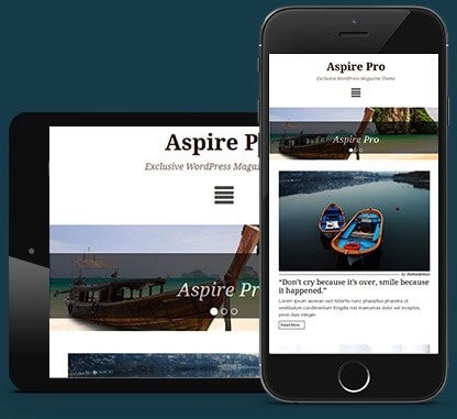 CyberChimps AspirePro WordPress Theme 1.5