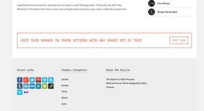OboxThemes The Stylist WordPress Theme 1.1.7