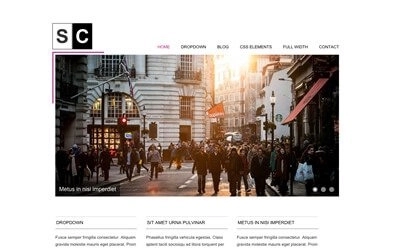 Viva Themes Space Color WordPress Theme 3.1
