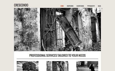 Viva Themes Crescendo WordPress Theme 1.0