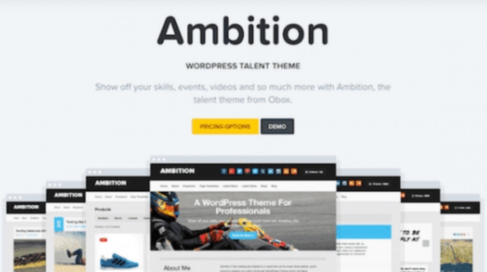 OboxThemes Ambition WordPress Theme 1.4.1