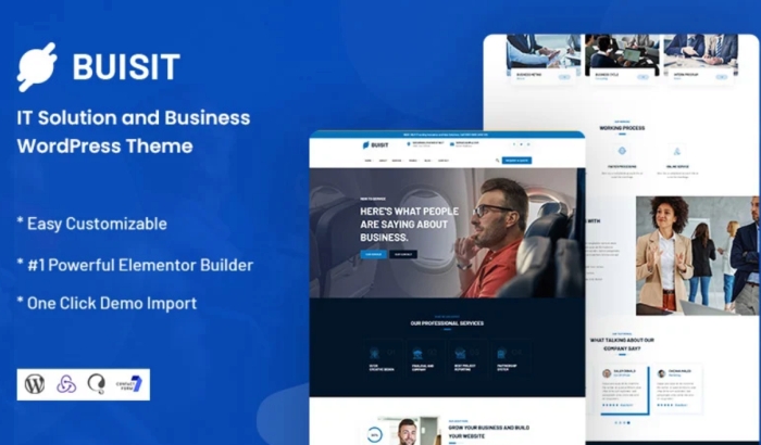 Buisit – IT Solution and Business WordPress Theme 1.0.1