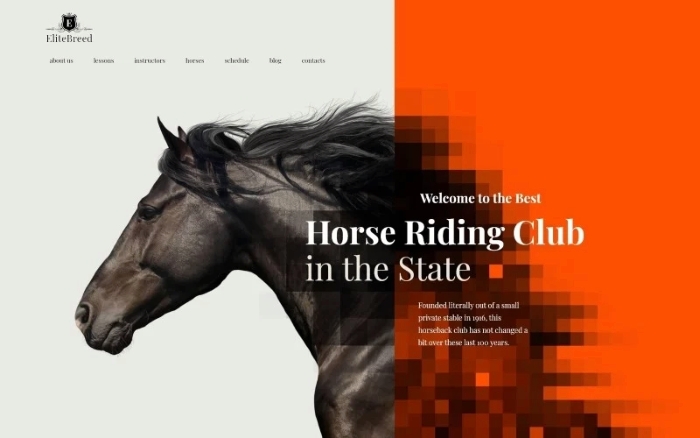 Elite Breed – Equestrian & Horse Riding Club WordPress Theme 1.0.0
