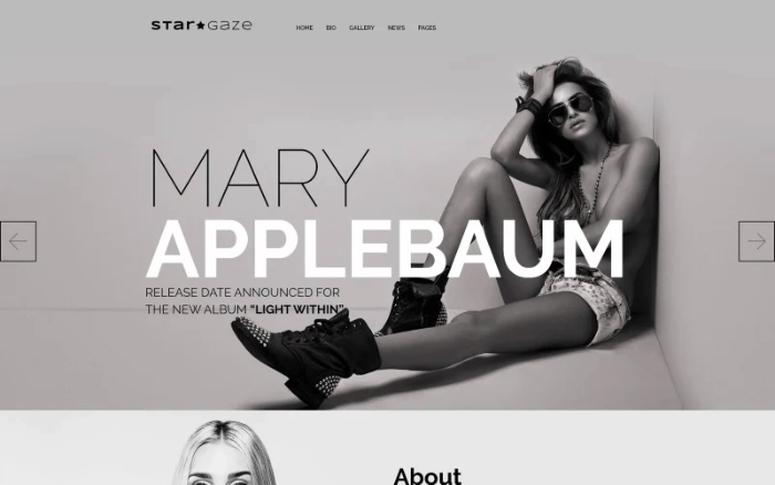 Stargaze – Media & Celebrity Responsive WordPress Theme 1.0.0