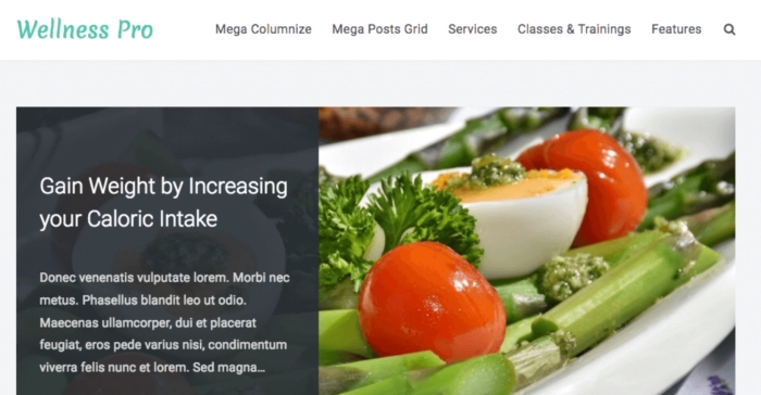 FameThemes Wellness Pro WordPress Theme 1.2