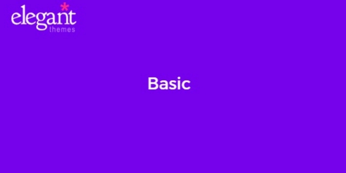 Elegant Themes Basic 6.5.13