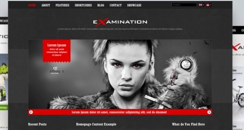 AIT – Examination WordPress Theme 1.27
