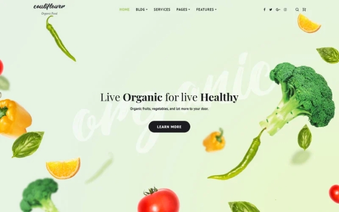 Cauliflower – Organic Food Blog WordPress Elementor Theme 1.0.0