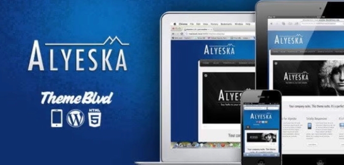 ALYESKA RESPONSIVE WORDPRESS THEME 3.1.18