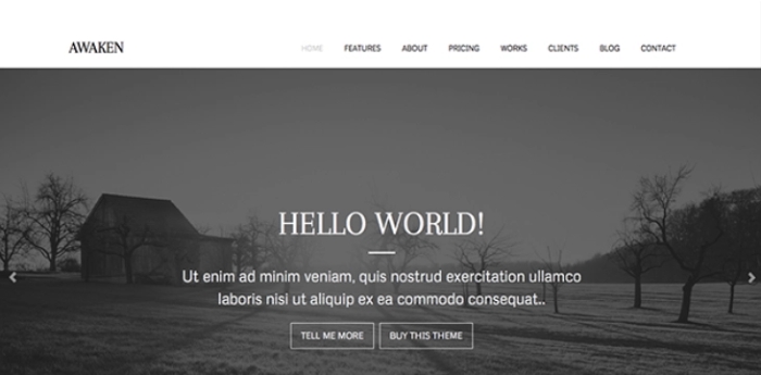 ZigZagPress Awaken 1.2.6
