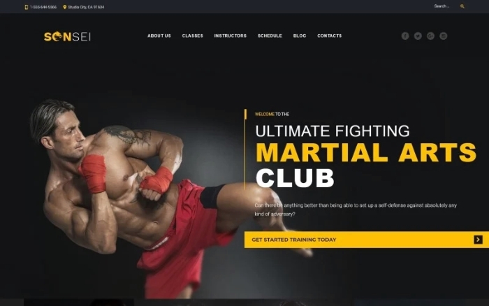 Sensei – Martial Arts WordPress Theme 1.0.0