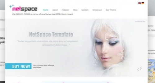 AIT – Netspace WordPress Theme 1.27
