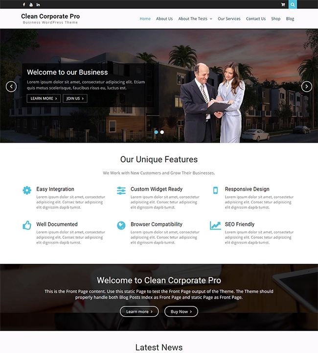 Clean Corporate Pro 3.1