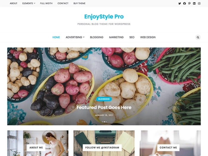 WP Enjoy – EnjoyStyle Pro 1.0.4