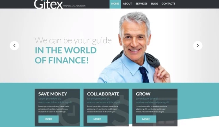 Gitex WordPress Theme 1.0.0