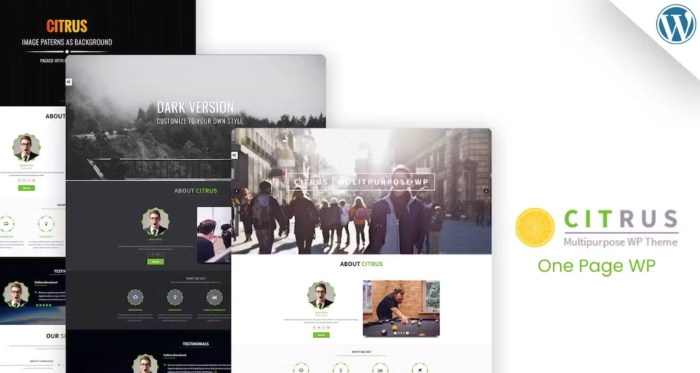 Citrus - One Page WordPress Theme 3.5