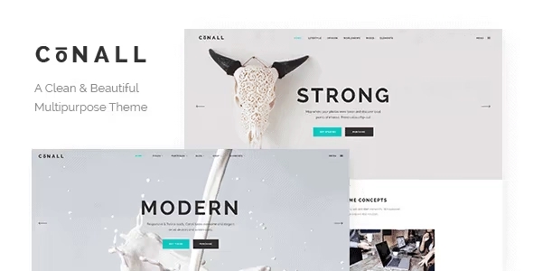 Conall β Clean Multipurpose Theme 1.8