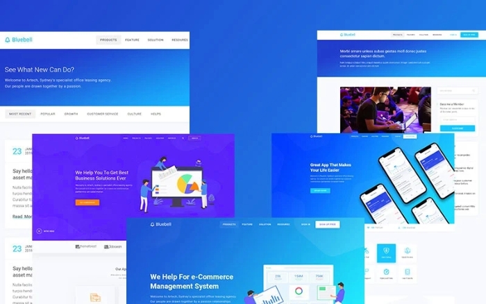 Bluebell – Software Web App And Startup Tech Company 2.0.0