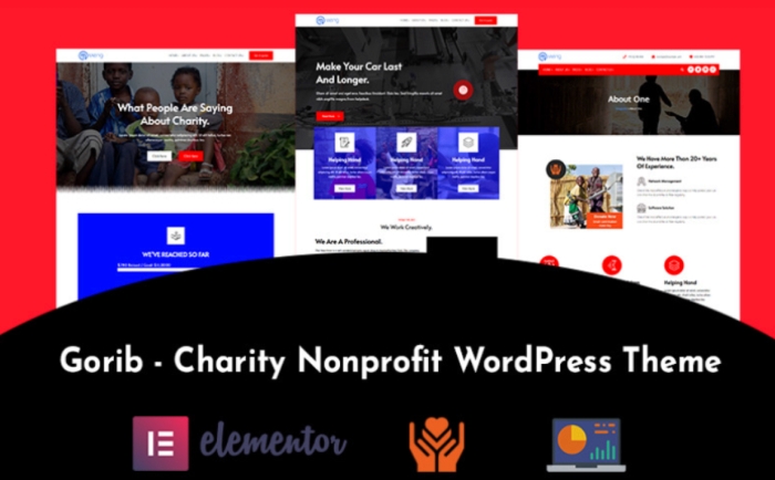 Gorib – Charity WordPress Theme 1.0.0