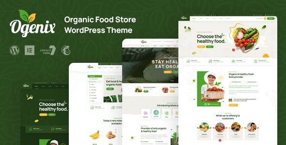 Ogenix – Organic Food Store WordPress Theme 1.0.0