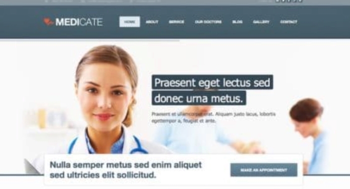 Themes Kingdom Medicate WordPress Theme 2.4