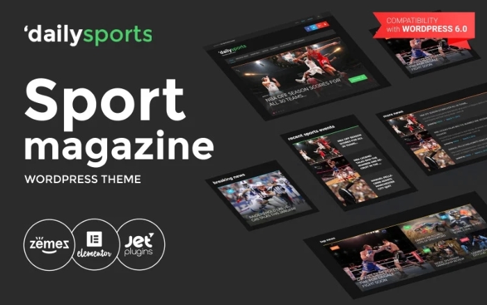 DailySports – Sport Magazine WordPress Theme 1.0.1