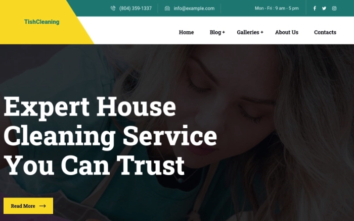 TishCleaning - Cleaning Services WordPress Theme 1.0.0