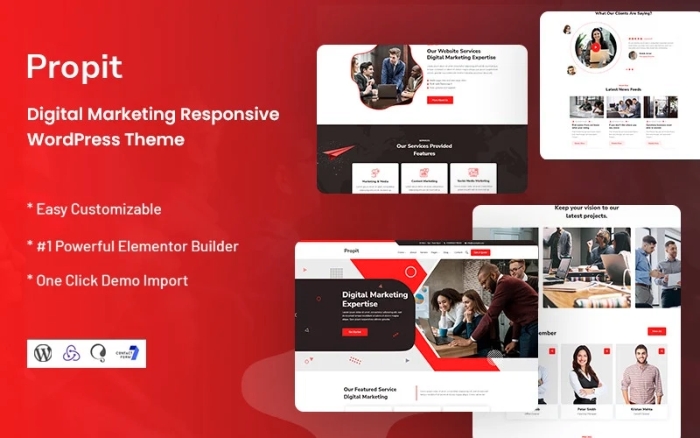 Propit - Digital Marketing WordPress Theme 1.0.0