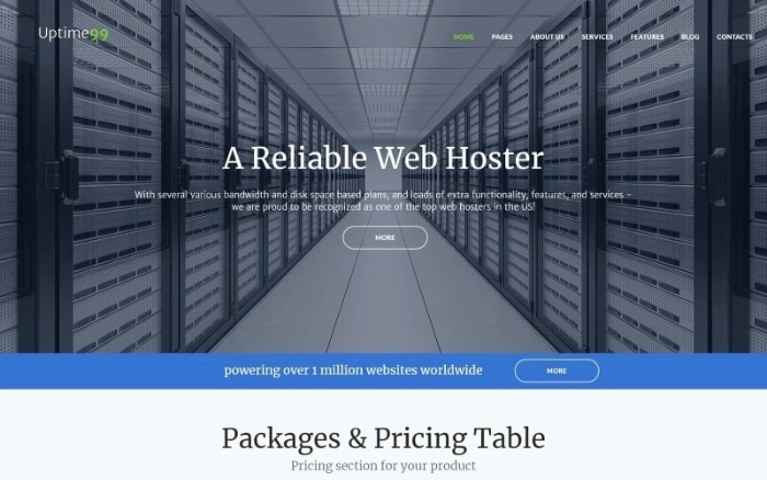 Uptime99 – Web Hosting WordPress Theme 1.0.0