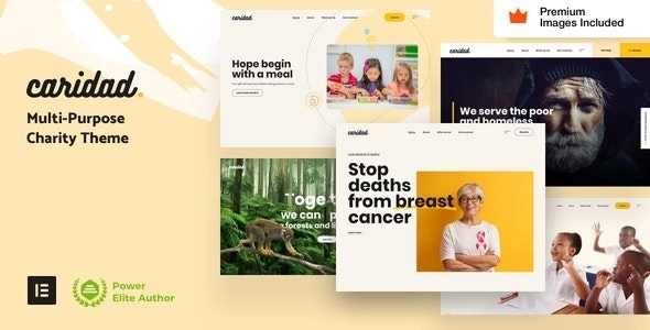 Caridad - Charity WP Theme 7.1