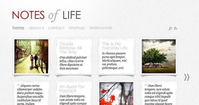 Elegant Themes DailyNotes WordPress Theme 5.8.13