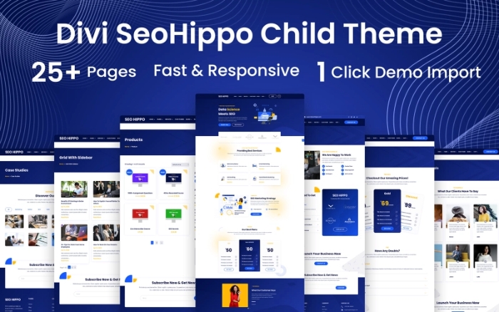 SEO Hippo WordPress Woocommerce Divi Child Theme WP Theme 1.0