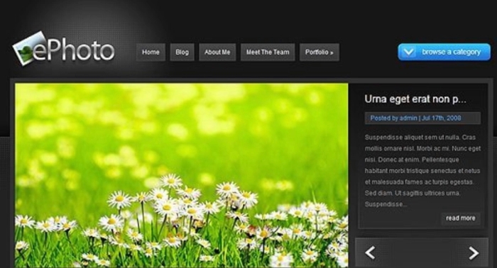 Elegant Themes ePhoto WordPress Theme 7.0.12