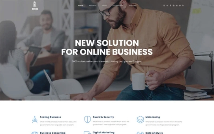 Roche – Business Consulting WordPress Theme 1.1.1