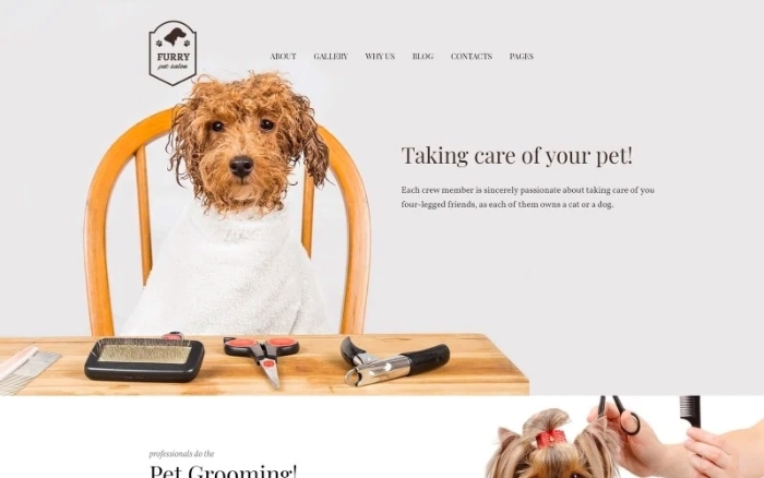 Furry – Pet Grooming WordPress Theme 1.0.0
