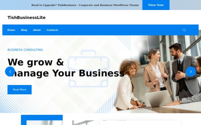 TishBusinessLite – Free Corporate and Business WP Theme 1.0.0