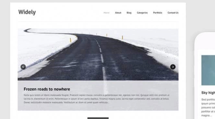 Themes Kingdom Widely WordPress Theme 2.3.1