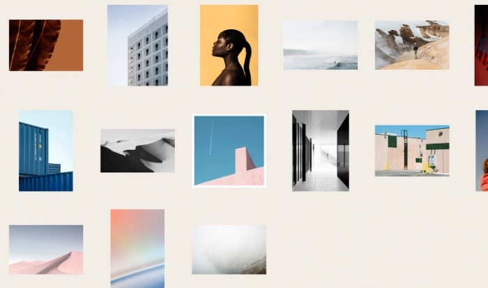 Themes Kingdom Section WordPress Theme 1.2.4