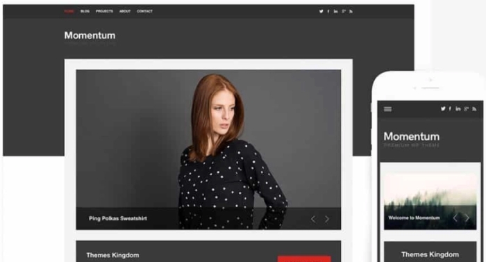 Themes Kingdom Momentum WordPress Theme 2.3.1