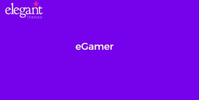 Elegant Themes eGamer 6.3.13