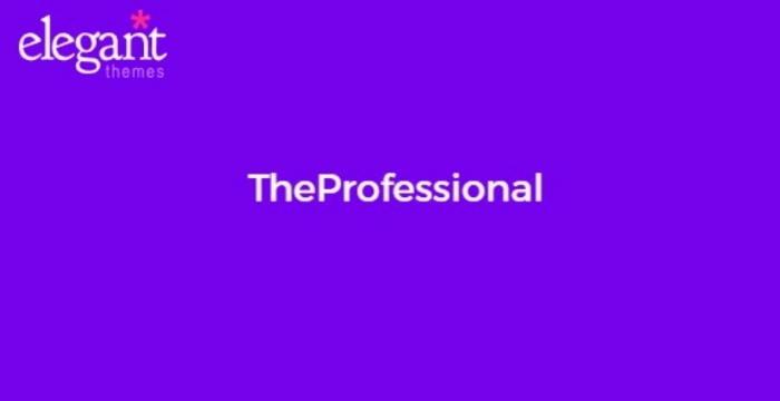 Elegant Themes TheProfessional 4.0.13